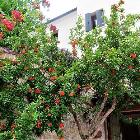 Locanda Alla Posta Borso del Grappa Exteriör bild