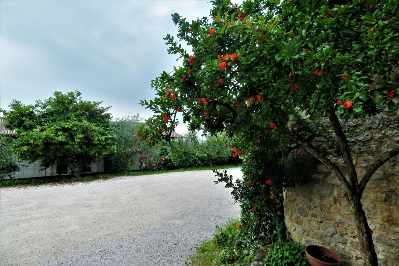 Locanda Alla Posta Borso del Grappa Exteriör bild
